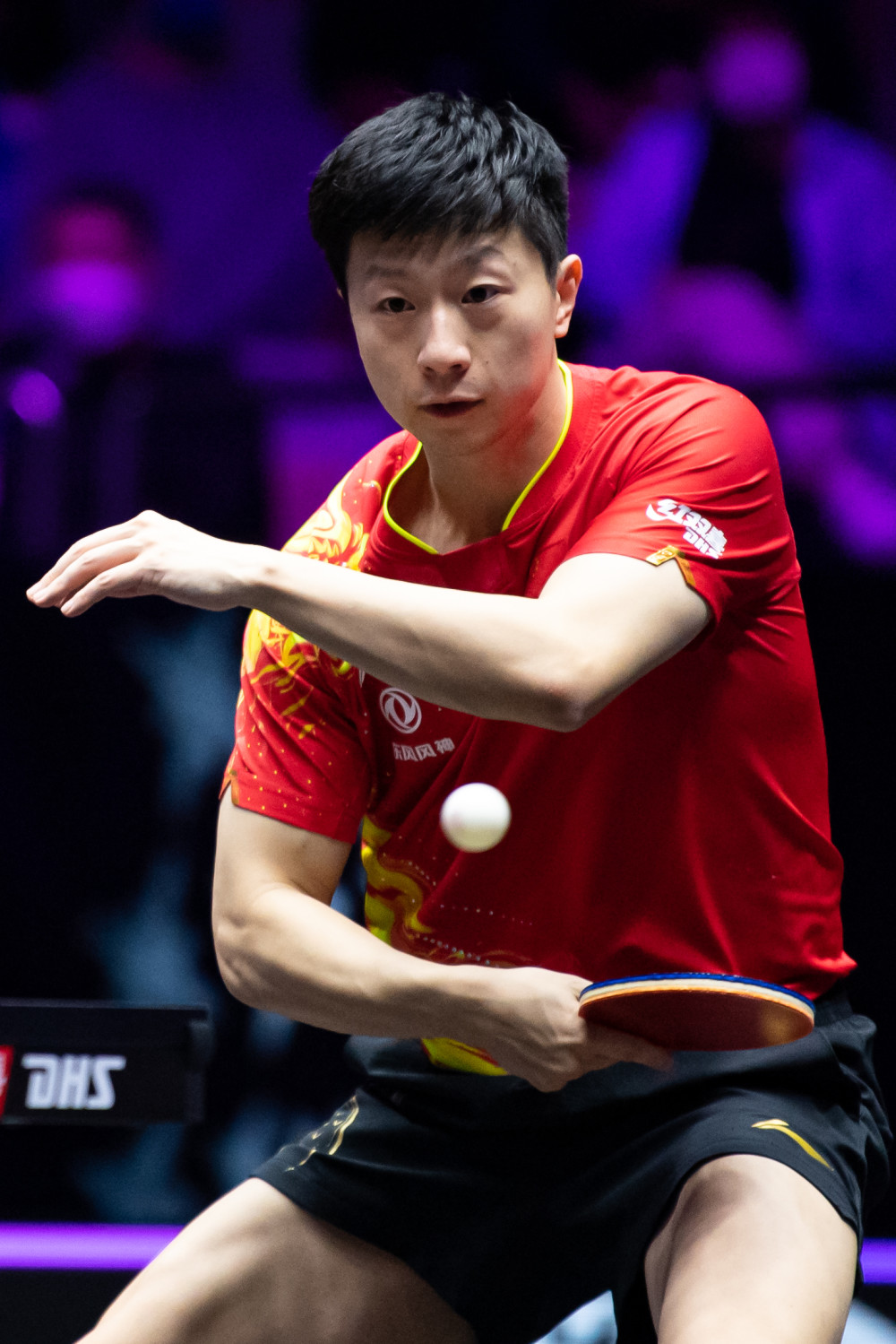 佛罗伦萨的 佛罗伦萨的